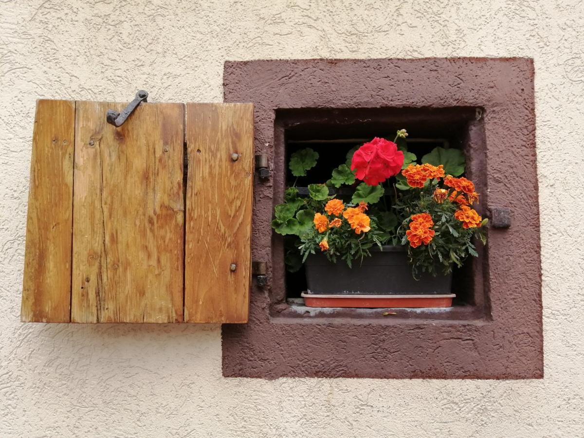 Gite Le Patio Kaysersberg-Vignoble ภายนอก รูปภาพ