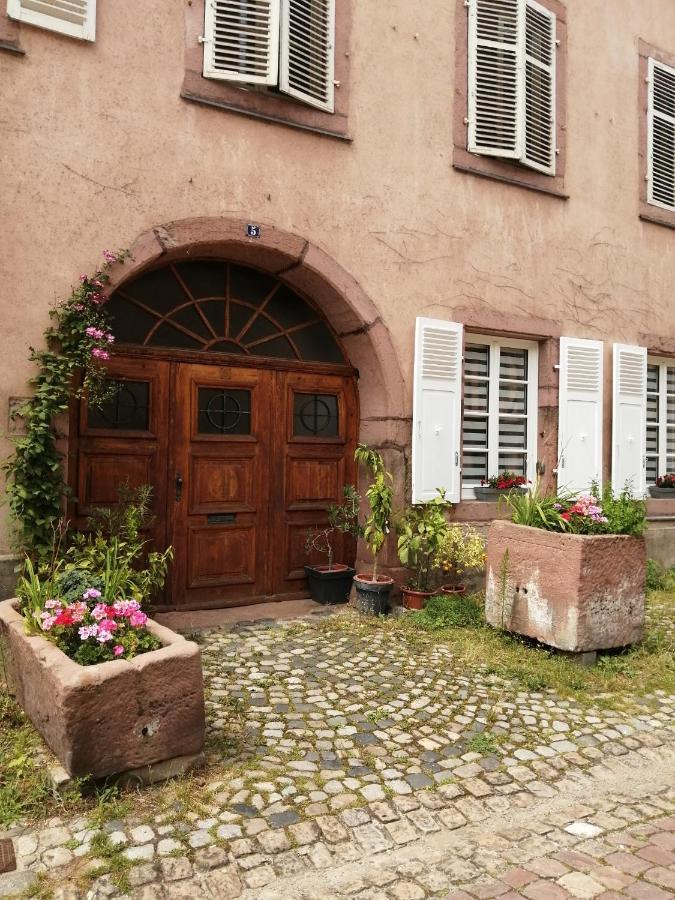 Gite Le Patio Kaysersberg-Vignoble ภายนอก รูปภาพ